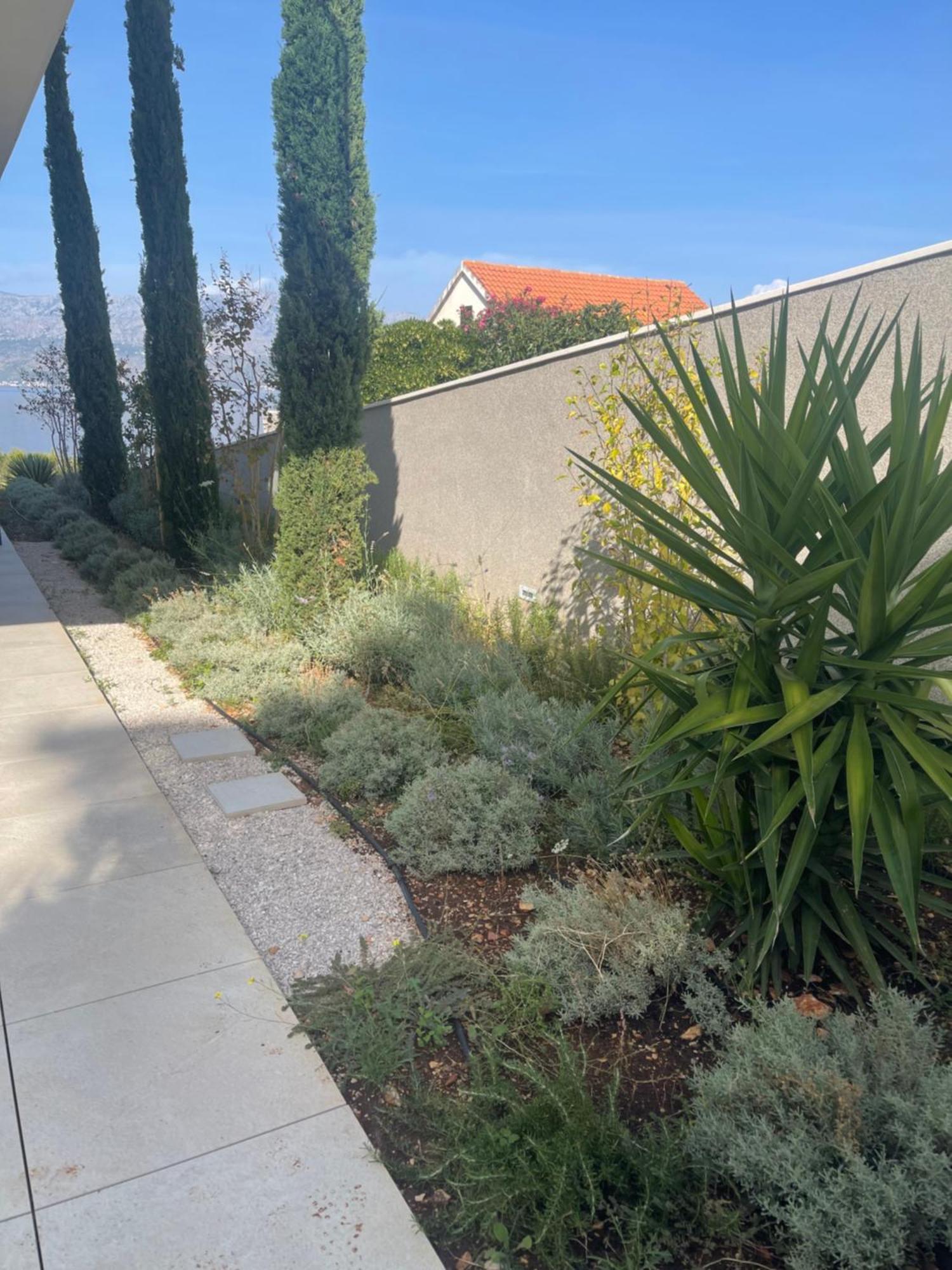 ספליטסקה Villa Brac מראה חיצוני תמונה