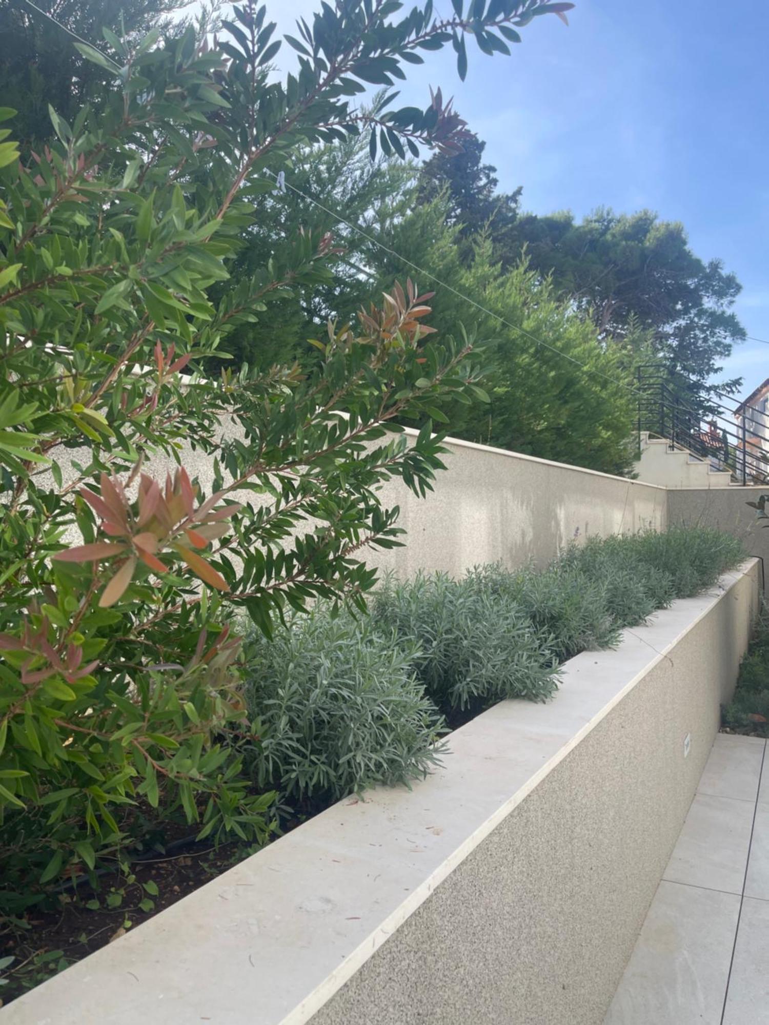 ספליטסקה Villa Brac מראה חיצוני תמונה